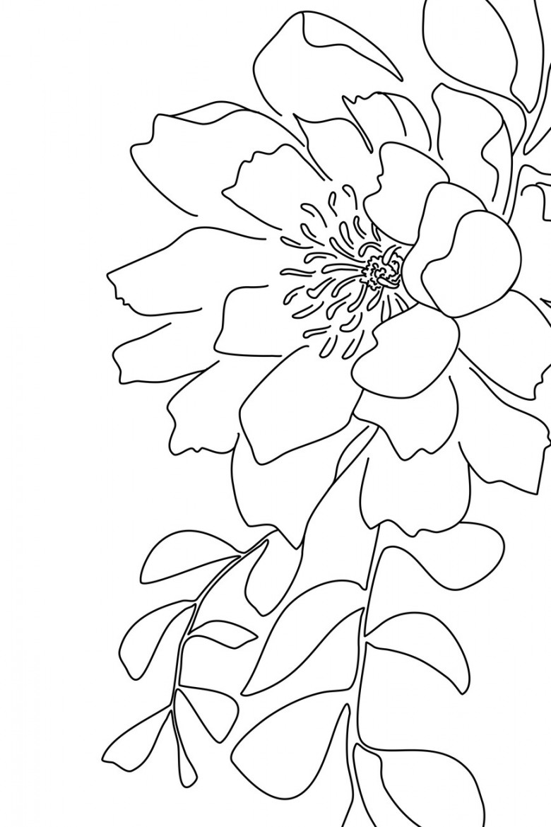 Illustration Floral line art