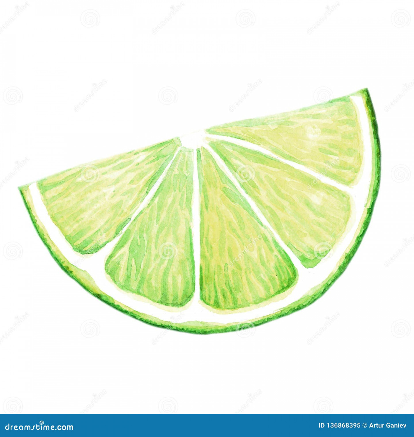 Illustration of Lime Wedges in Watercolor Stock Illustration