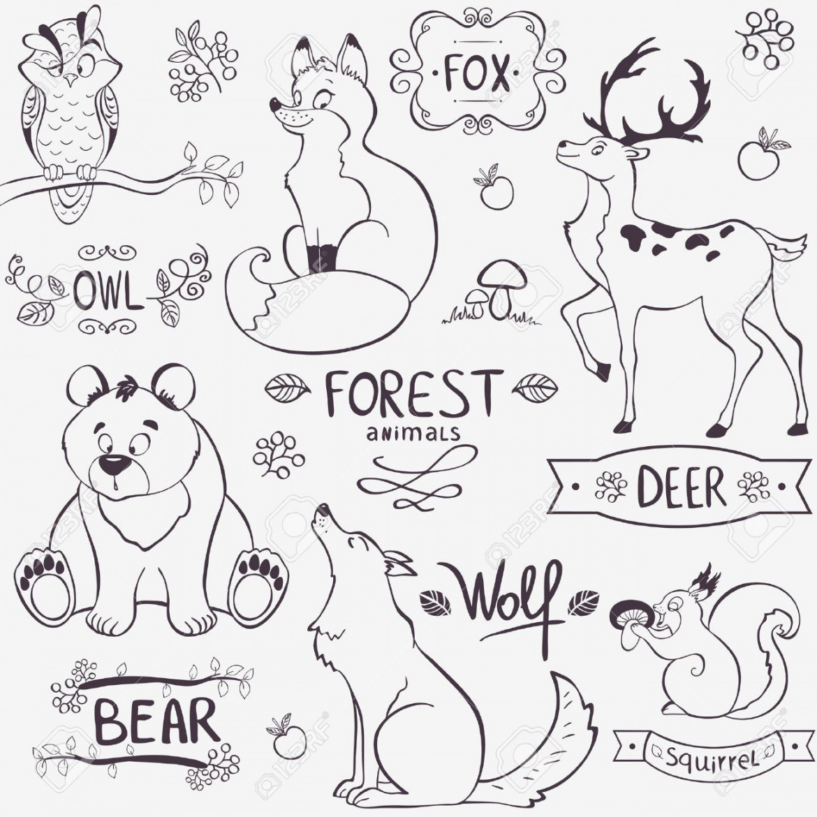 Illustration Set Of Cute Animals Of The Forest With Design Names