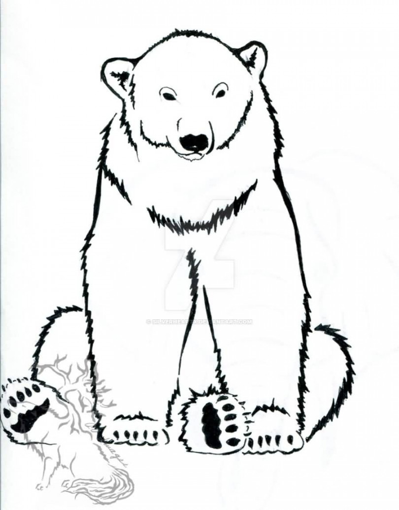 Image result for sitting polar bear drawings  Рисование, Медведь