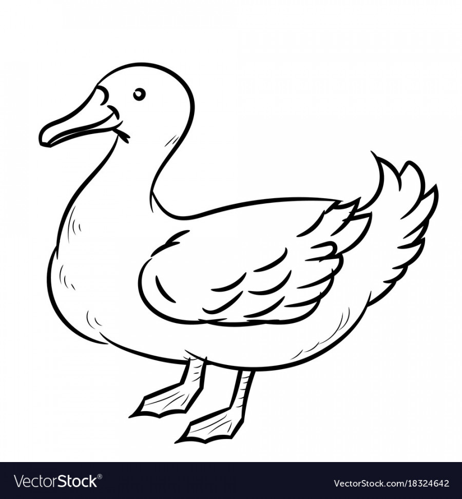 Line drawing of duck -simple Royalty Free Vector Image