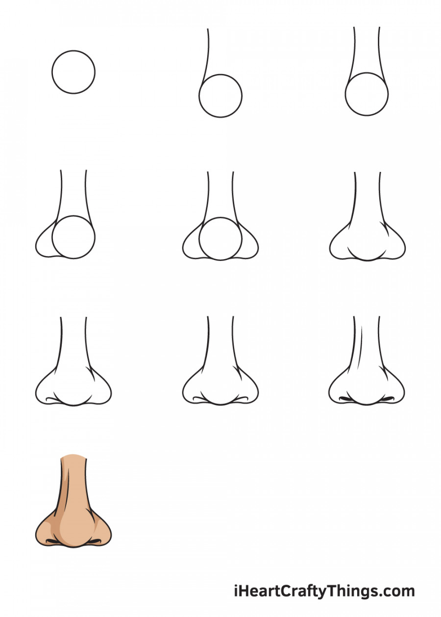 Nose Drawing - How To Draw A Nose Step By Step