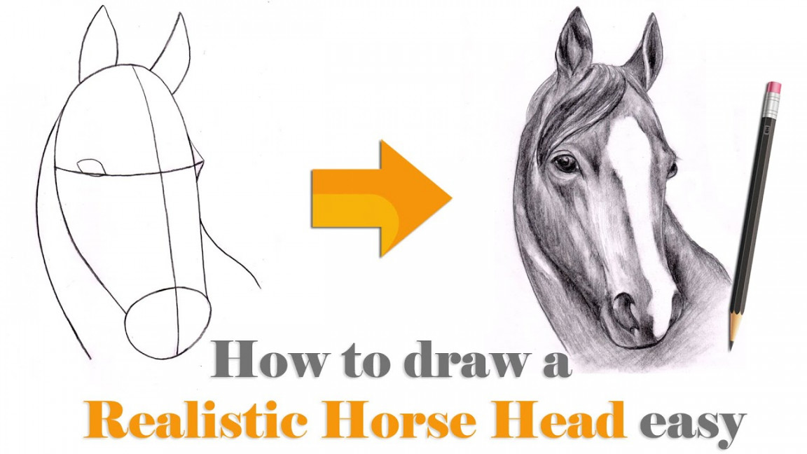 Online classes: How to Draw a Realistic Horse Head Easy Step by Step   Drawing Horse Head