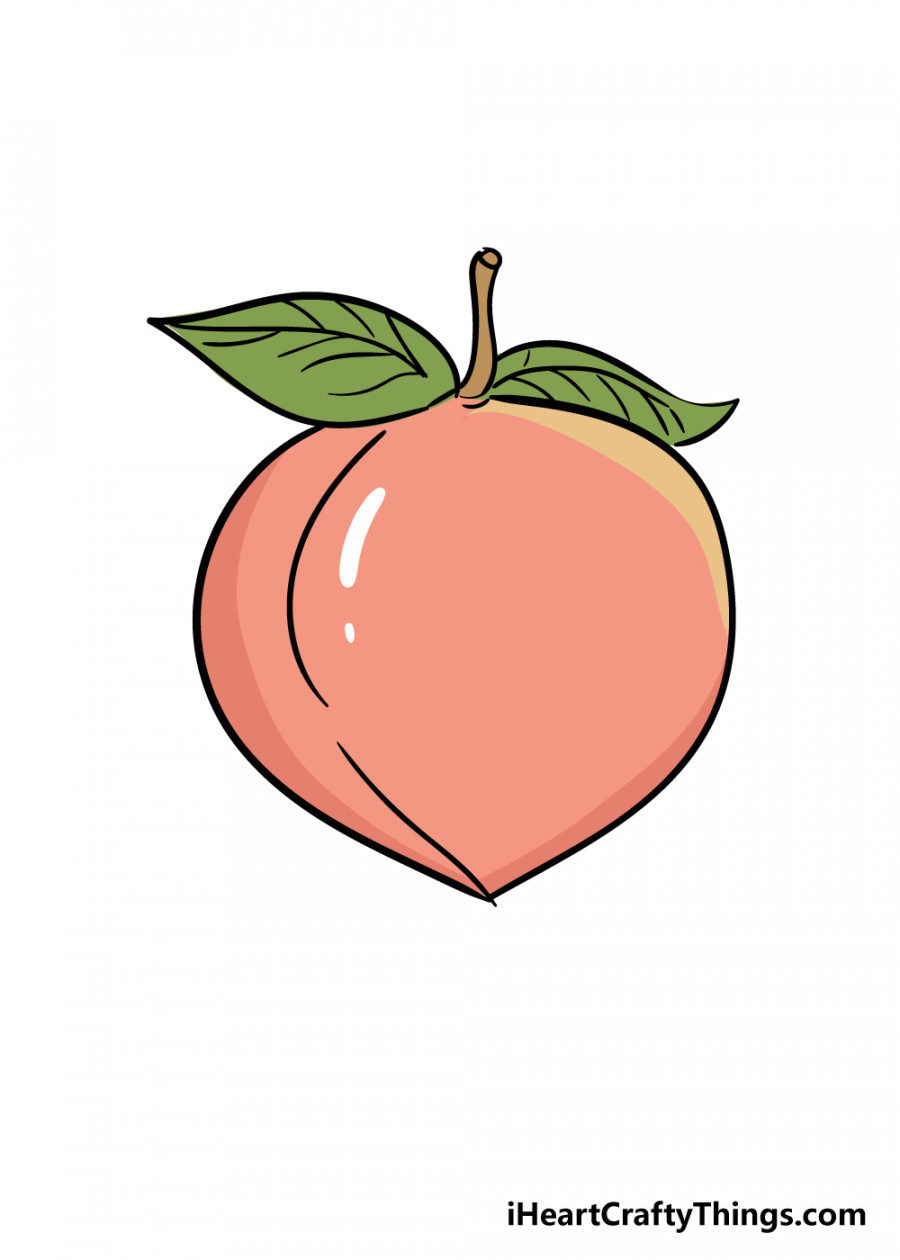 Peach Drawing - How To Draw A Peach Step By Step