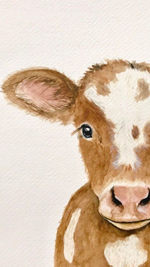 Pin by Susan Mi on Draw  Animal drawings, Baby farm animals, Baby