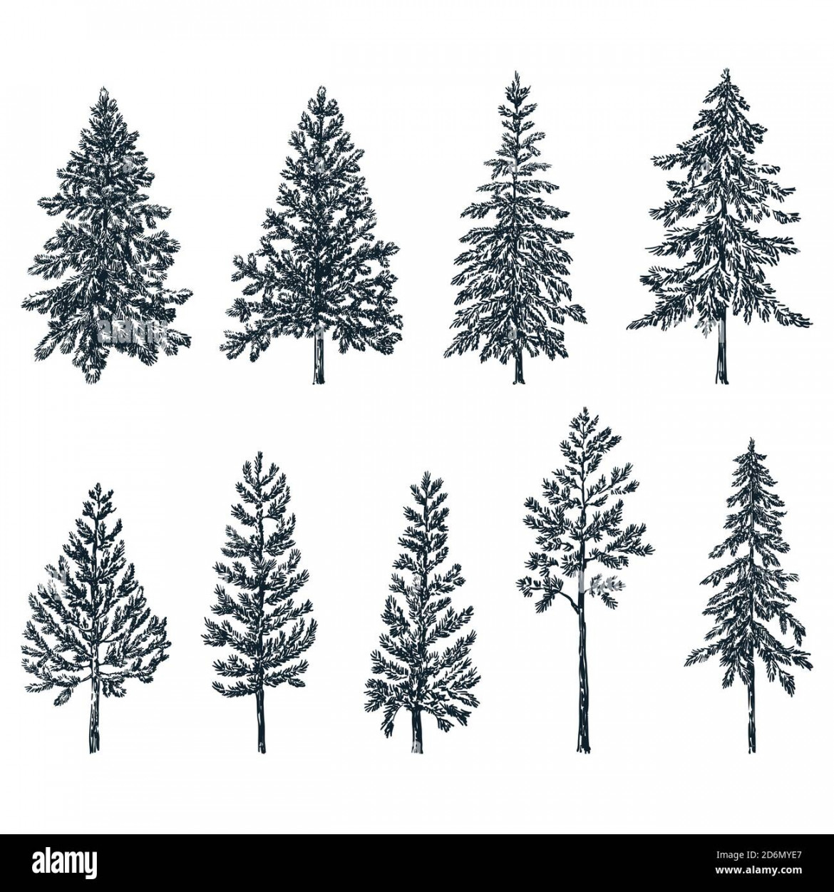 Pine tree forest sketch hi-res stock photography and images - Alamy