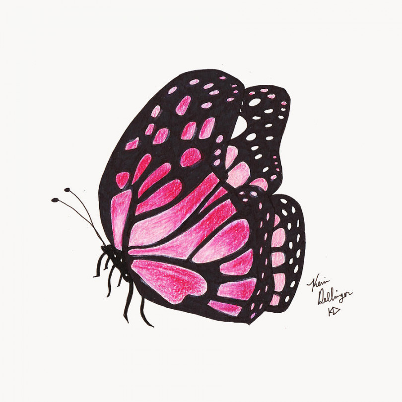 Pink Butterfly by Kevin Dellinger