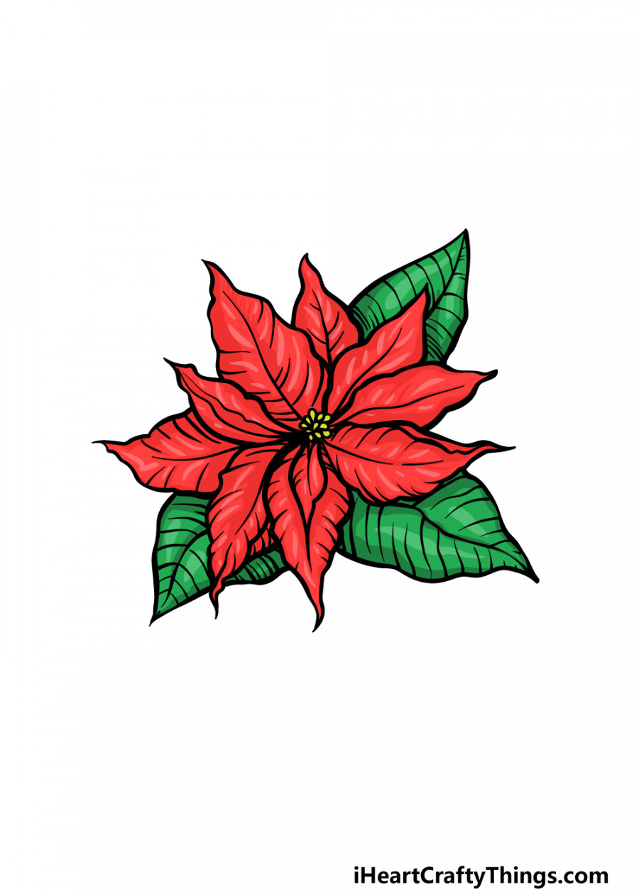 Poinsettia Drawing - How To Draw A Poinsettia Step By Step