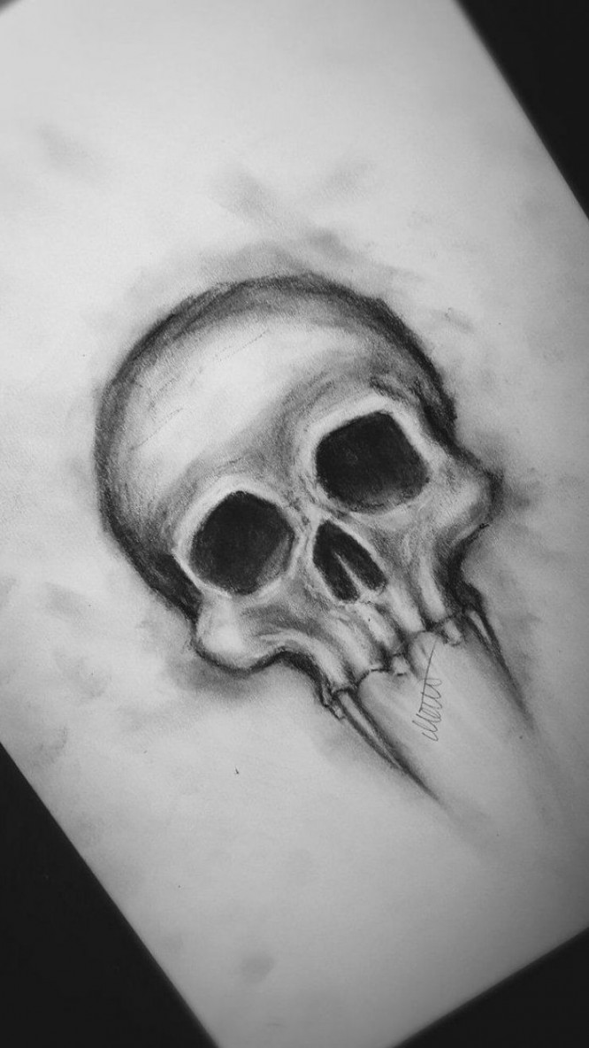 Post by Med Tech  Skull drawing sketches, Skull drawing, Art