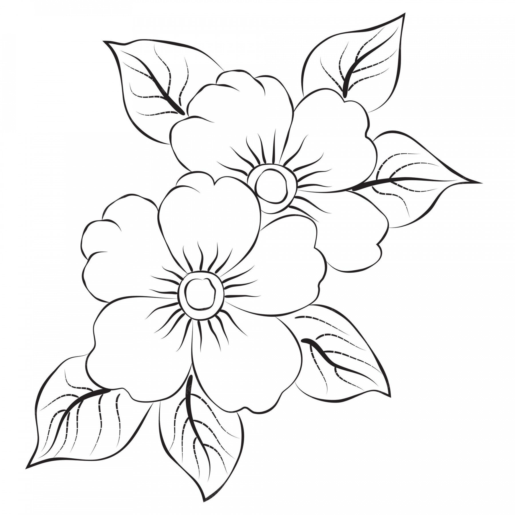 Premium Vector  Free vector line art and hand drawing flower art