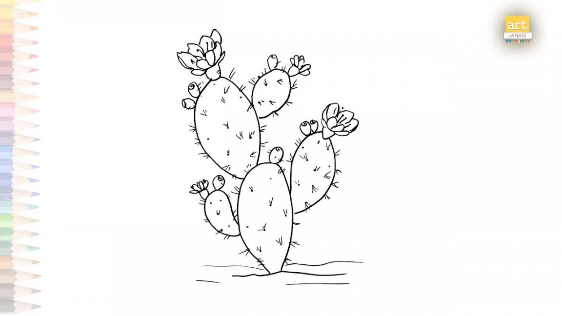 Prickly pear cactus drawing easy  Dibujo de cactus de pera espinosa  How  to draw Cactus easy step