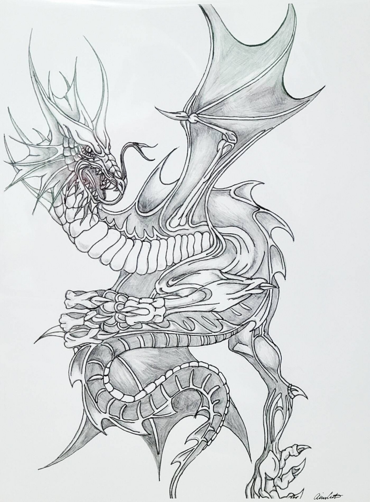 Print, Dragon, Fantasy, Dragon Drawing, Dragon lover, Detailed