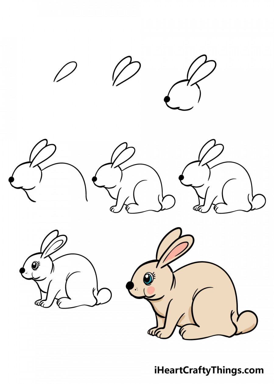 Rabbit Drawing - How To Draw A Rabbit Step By Step