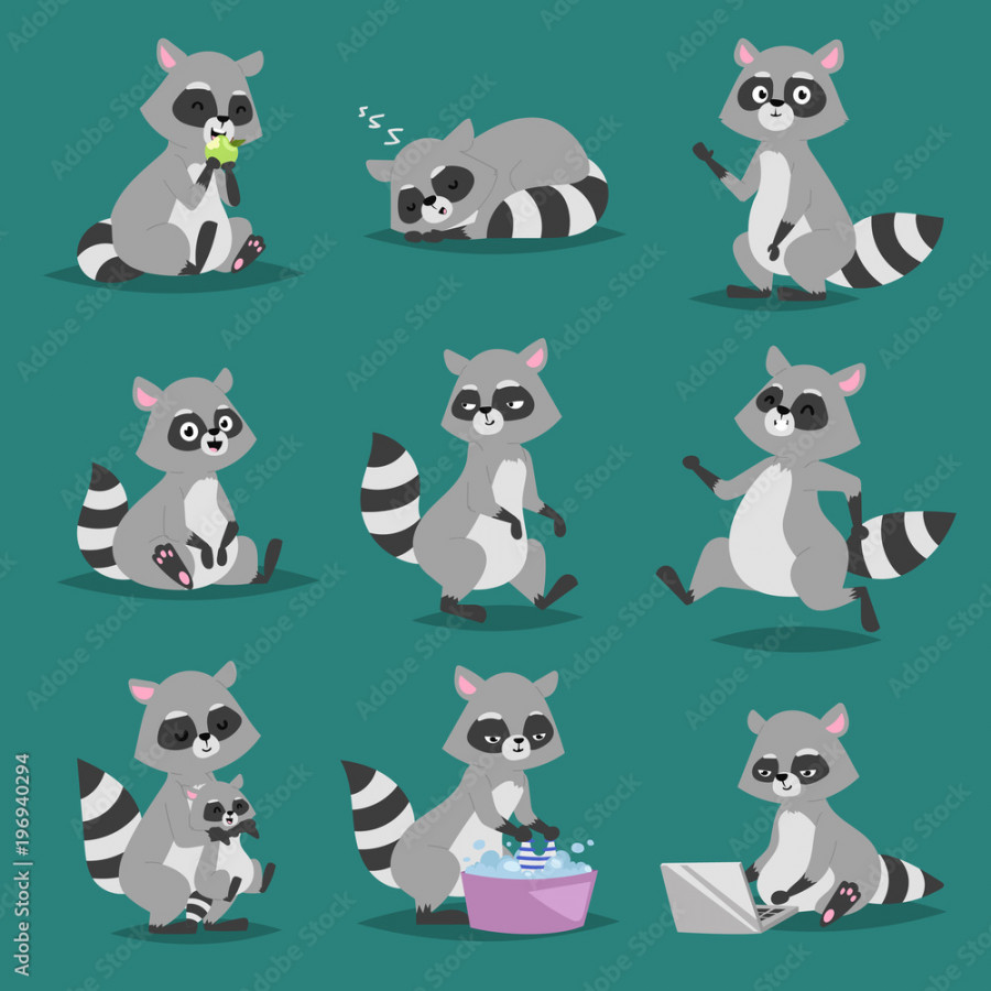 Raccoon vector illustration cartoon set of fun smile drawing