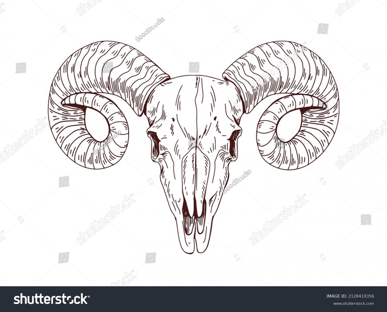 , Ram Skull Drawing Images, Stock Photos, D objects