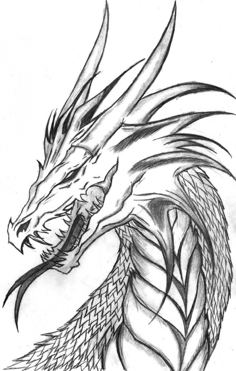 Realistic Dragon Coloring Pages  K Worksheets  Cool dragon