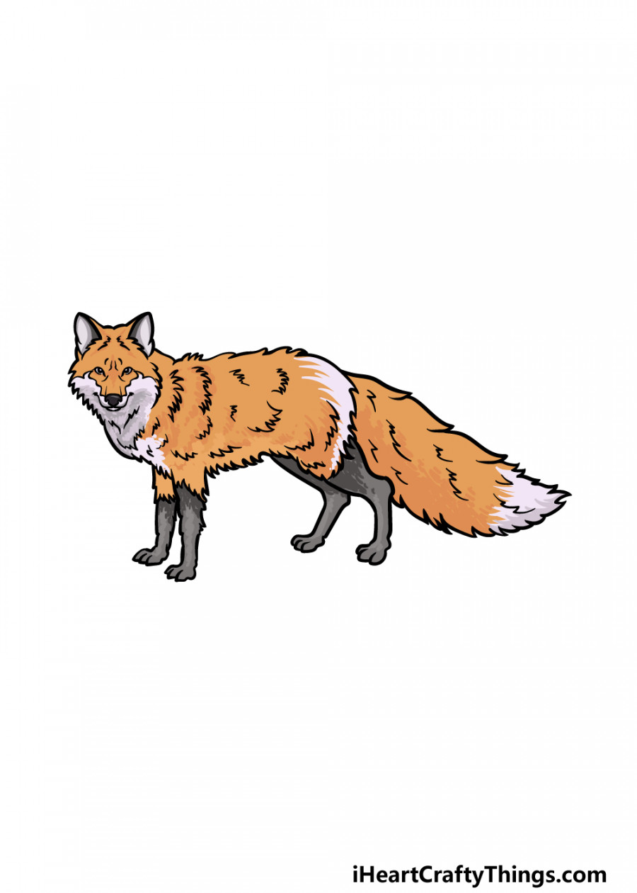 Red Fox Drawing - How To Draw A Red Fox Step By Step