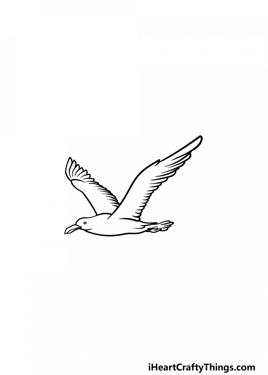 Seagull Drawing - How To Draw A Seagull Step By Step