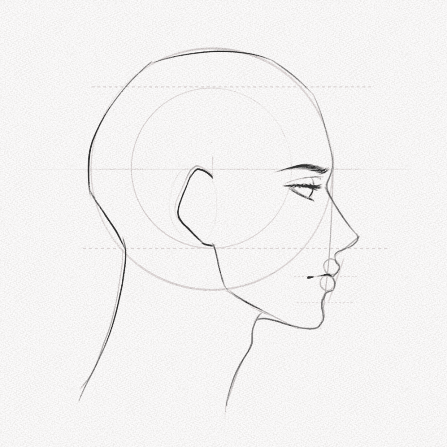 Side Profile Drawing – A Step-by-Step Tutorial – Artlex