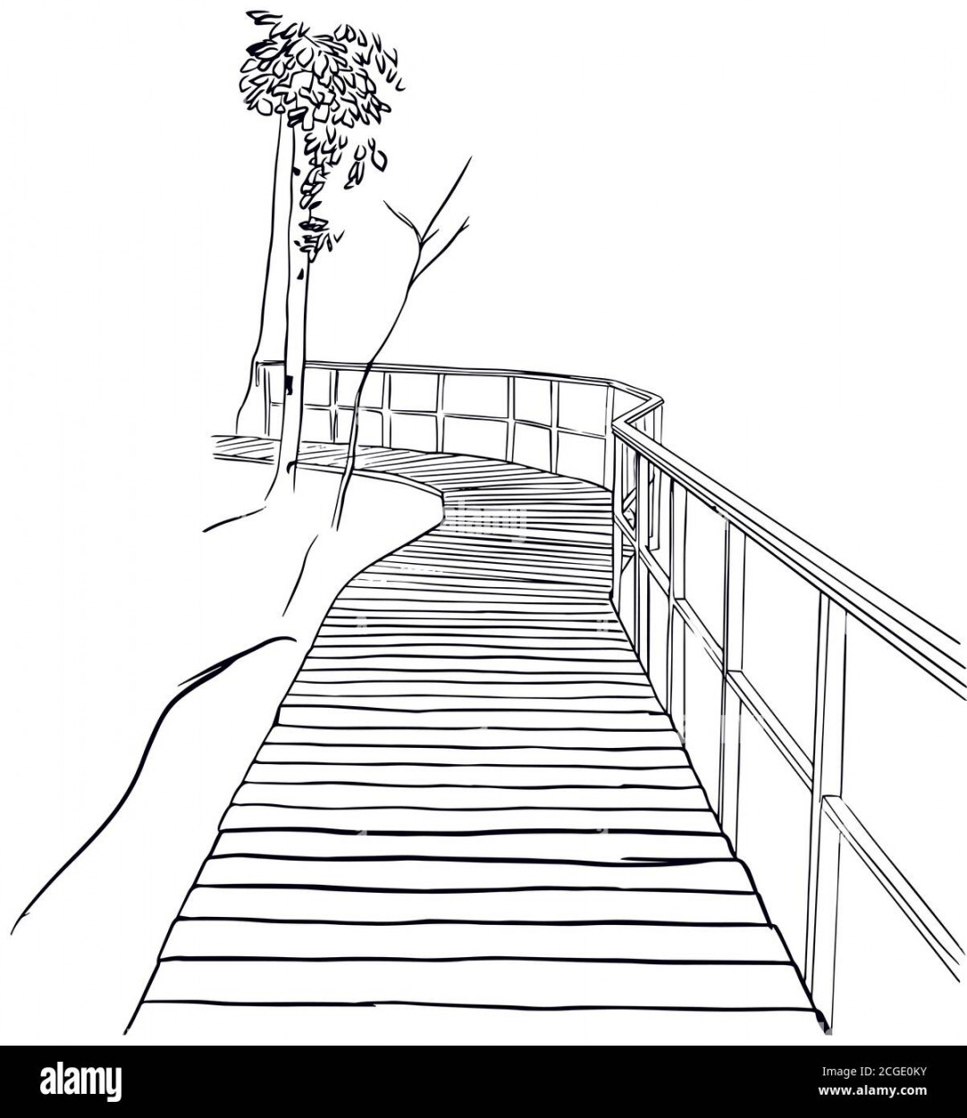 Sketch of wooden path in the forest