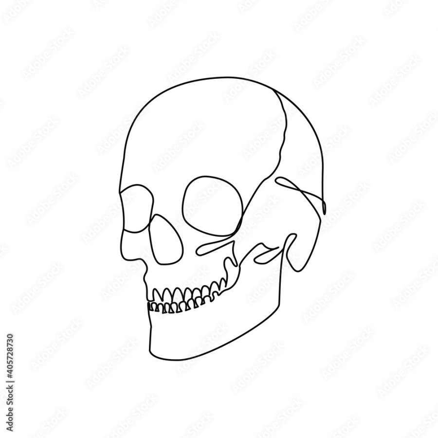 Skull Continuous One Line Drawing