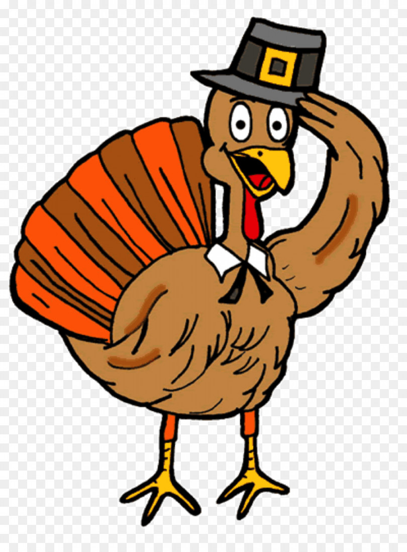 Thanksgiving Day Drawing png download -  - Free