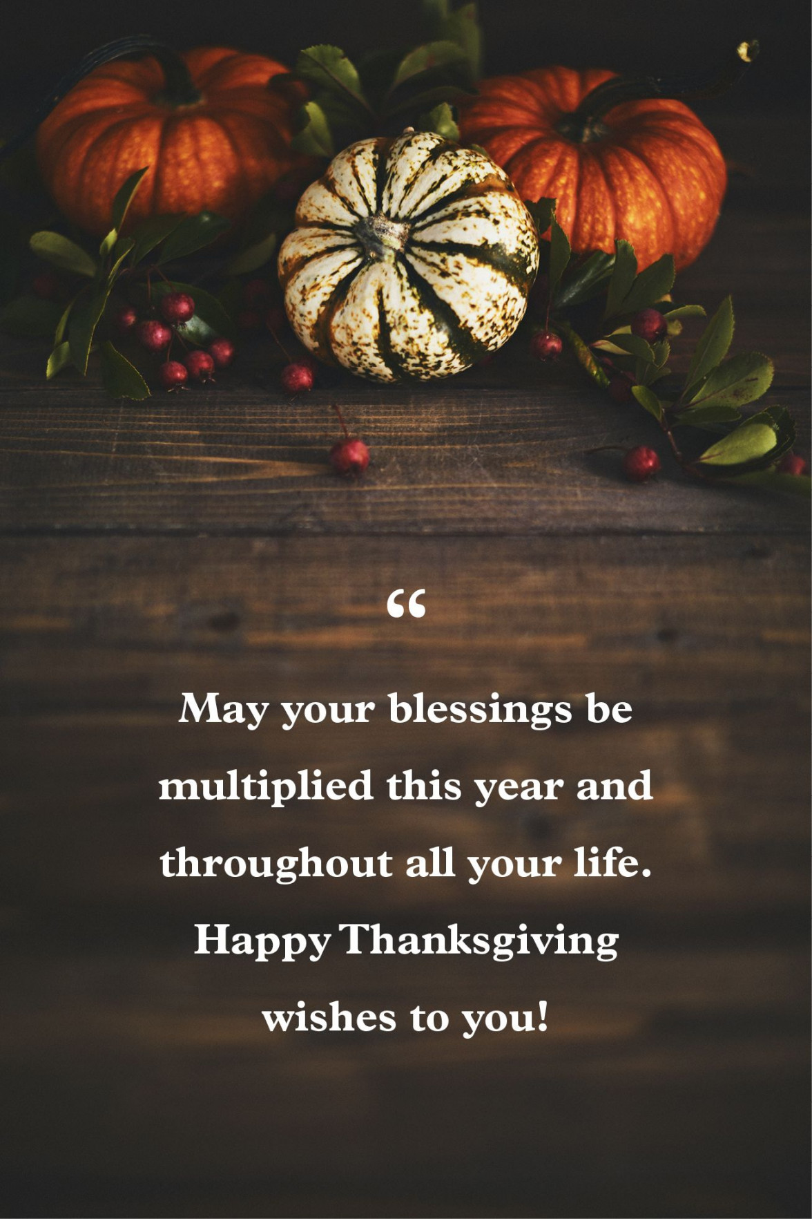 Thanksgiving Greetings - What to Write in a Thanksgiving Card