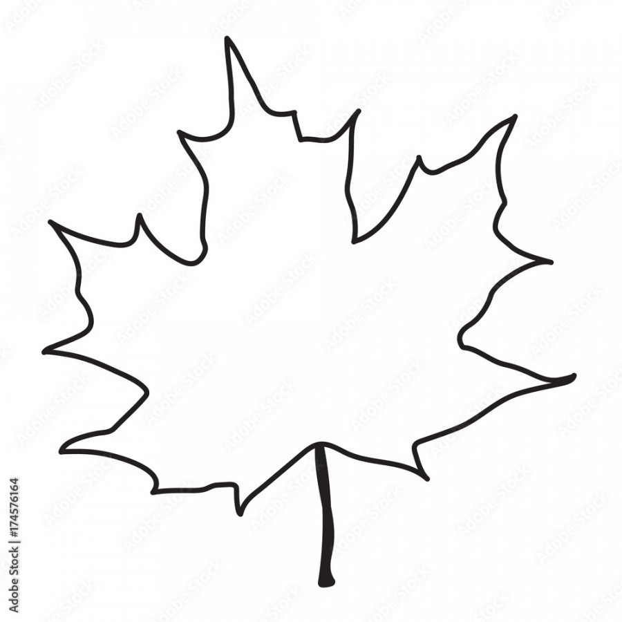 This is a vector line drawing of a maple leaf