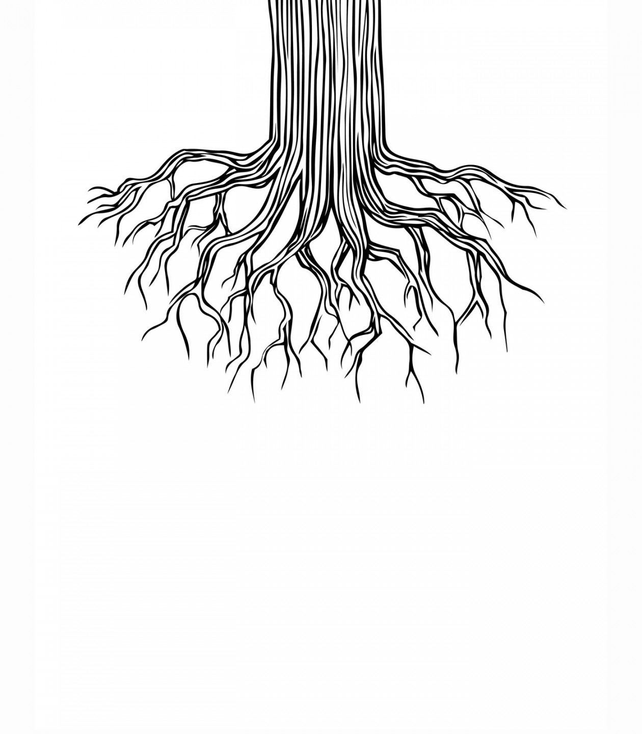 Tree root drawing  Roots drawing, Roots illustration, Tree drawing