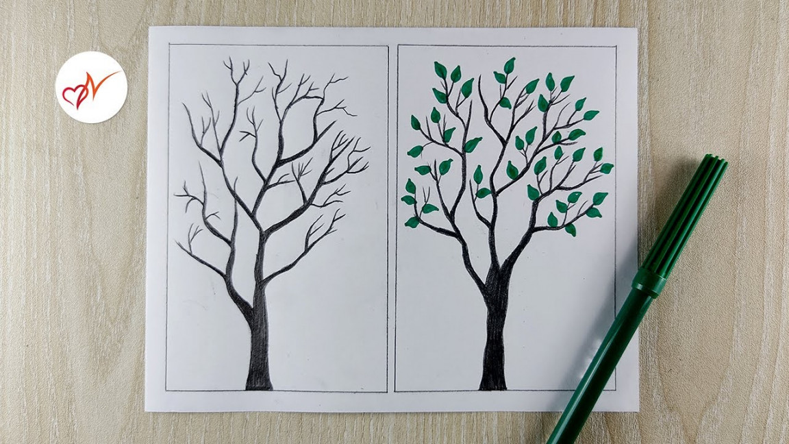 Tree without leaves VS tree with leaves drawing  How to draw two types of  trees