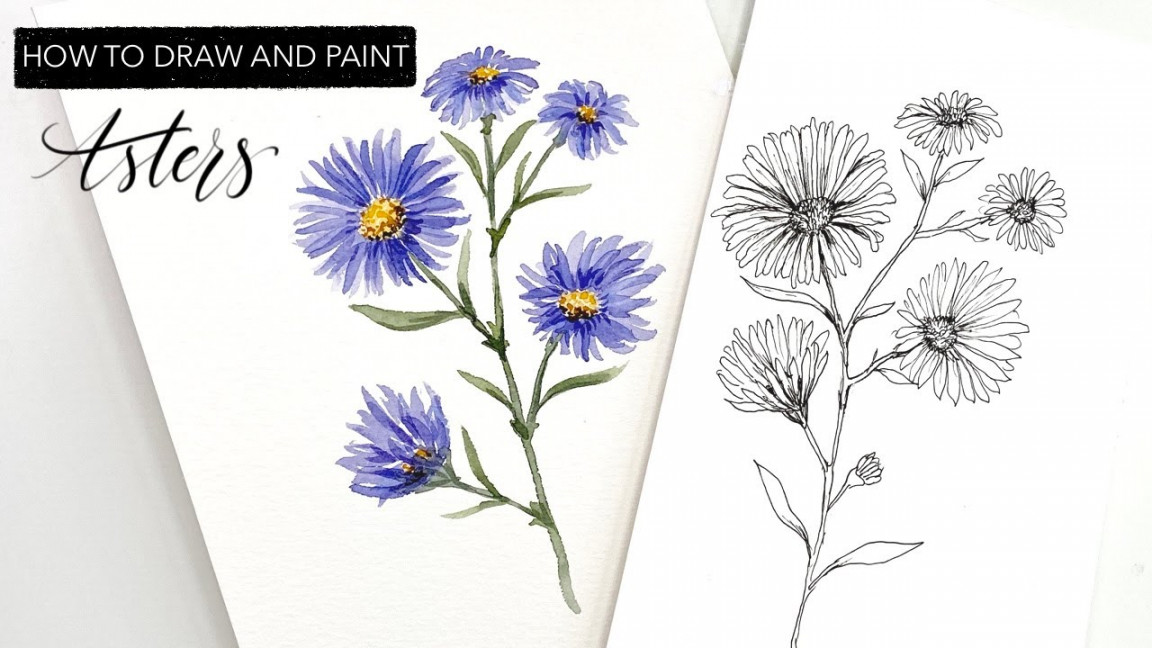 Watercolour Asters - How To Draw And Paint SEPTEMBER