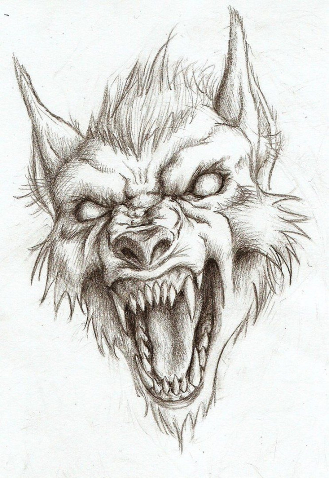 Werewolf head drawing (not my art!)  Werewolf drawing, Scary