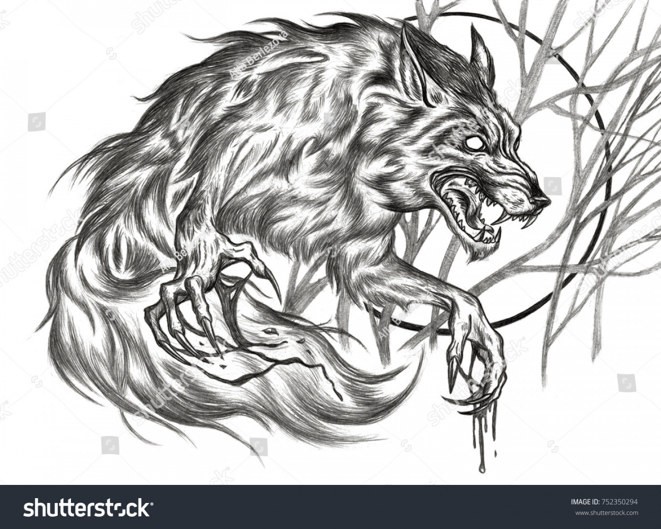 Werewolf Pencil Art: Stockillustration   Shutterstock