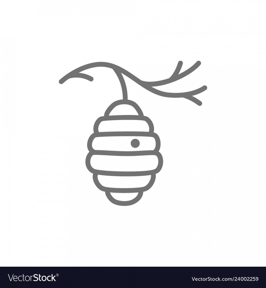 Wild bee hive on tree beehive line icon Royalty Free Vector