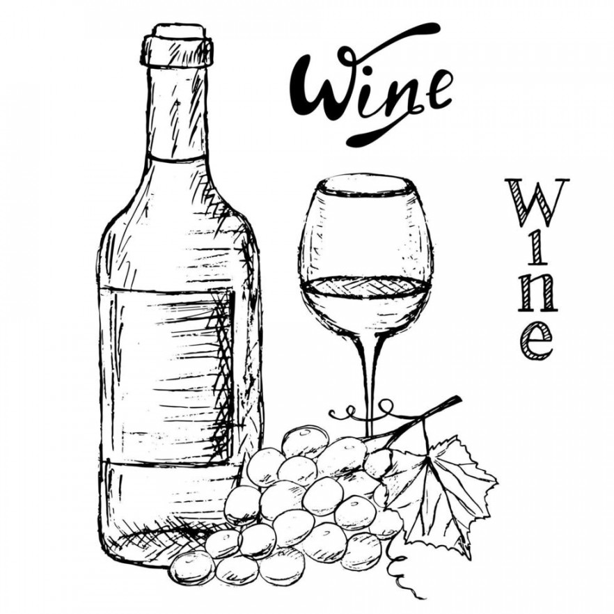 Wine Sketch Vector Art, Icons, and Graphics for Free Download