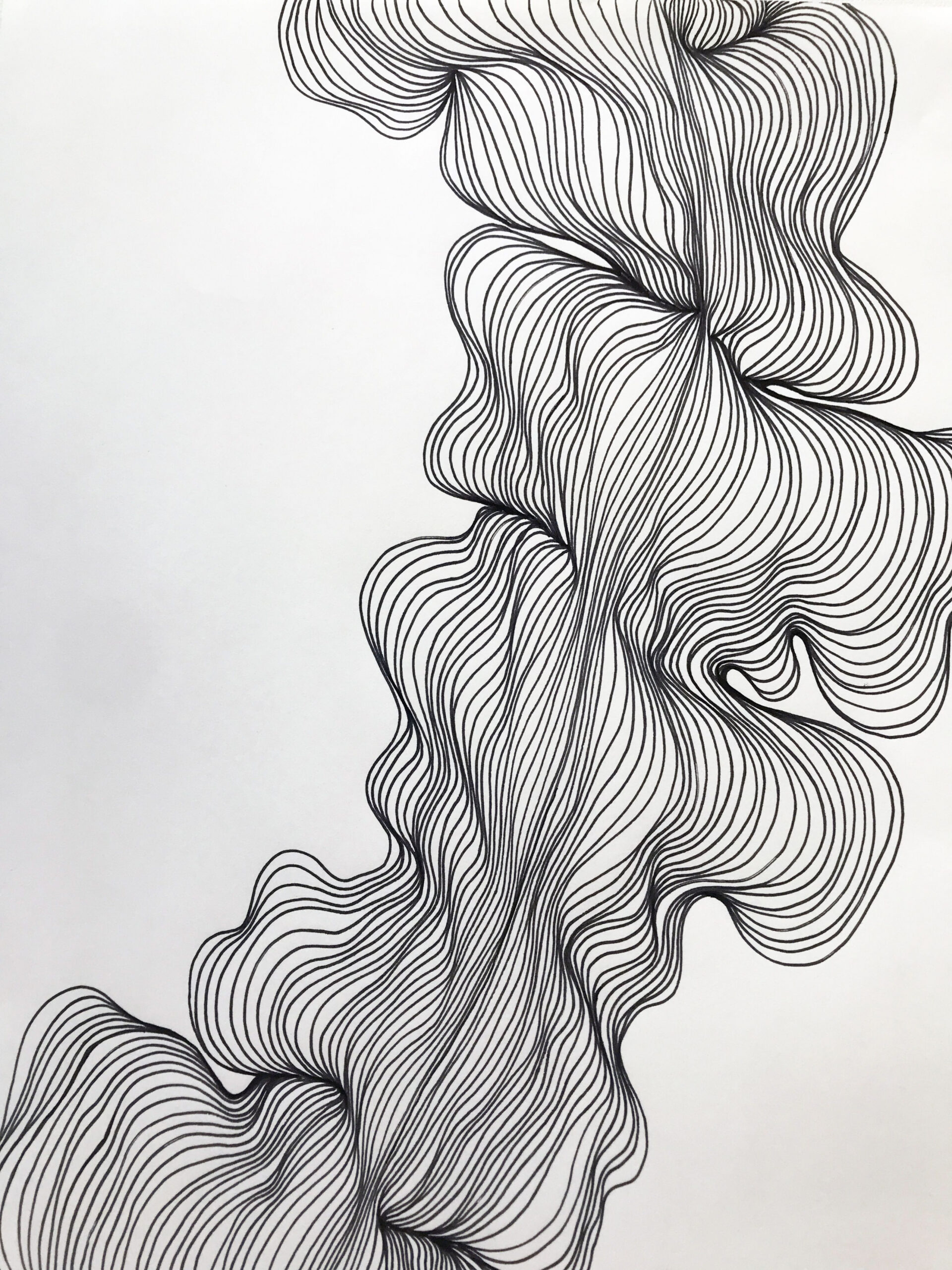 Abstract Line Art, Black and White Modern Drawing, Organic Line