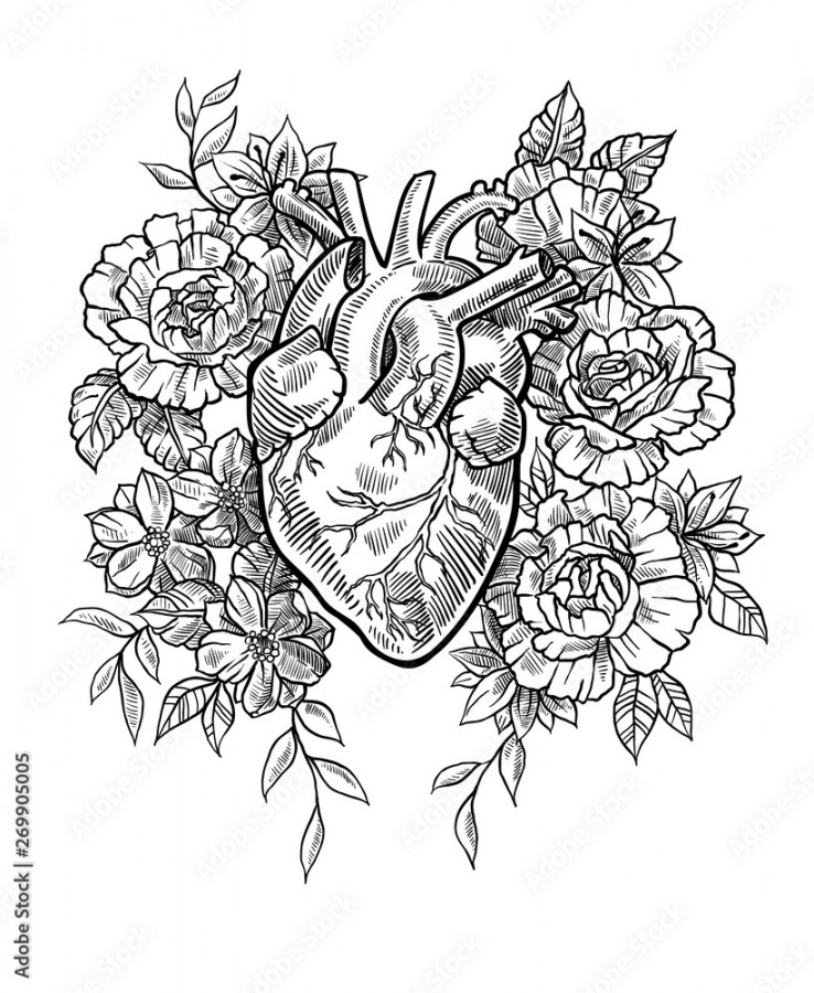 Anatomical heart in flowers in graphic style Stock-Vektorgrafik