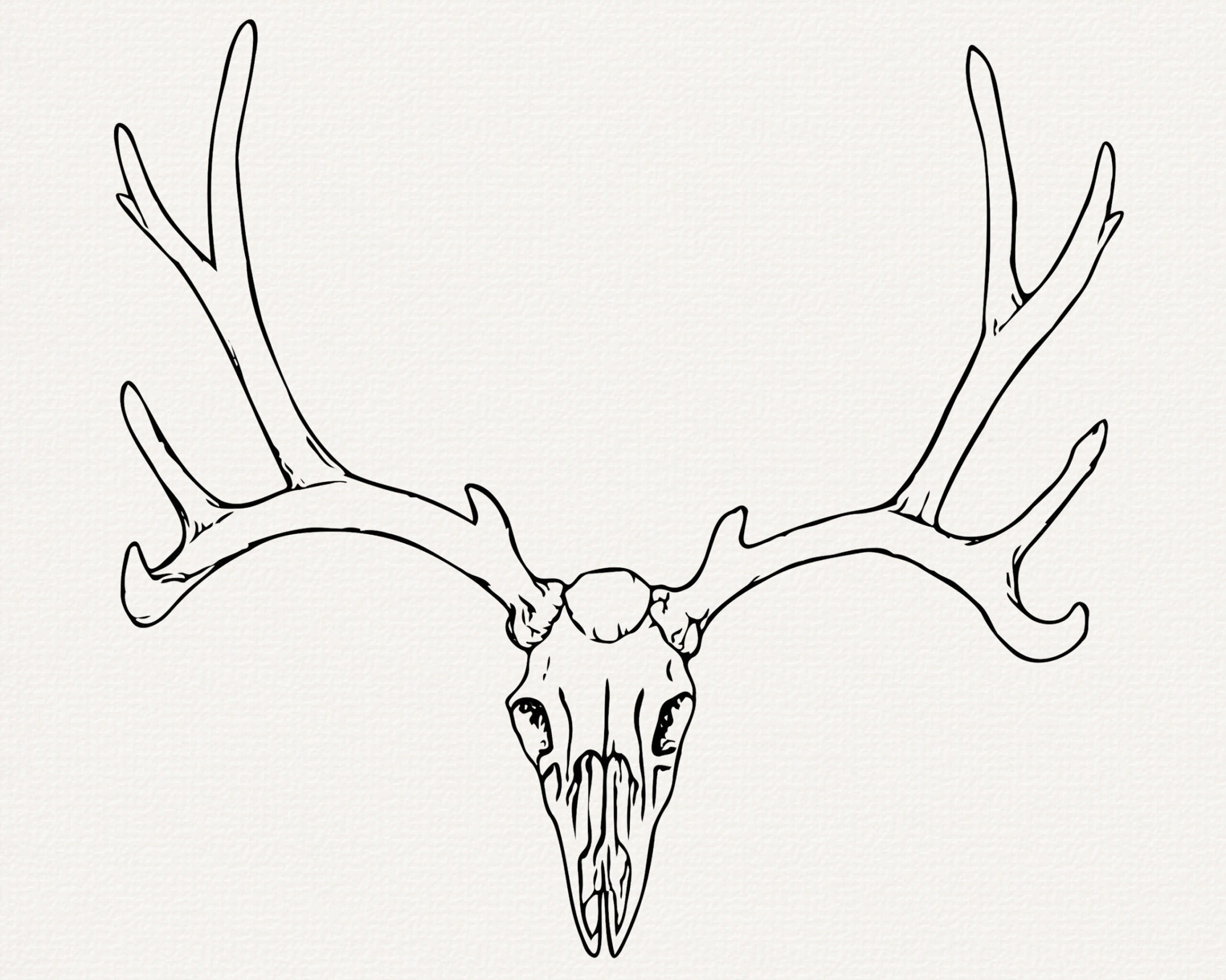 Antlers SVG, Realistic Deer Antler Clip Art, Cut File for Cricut