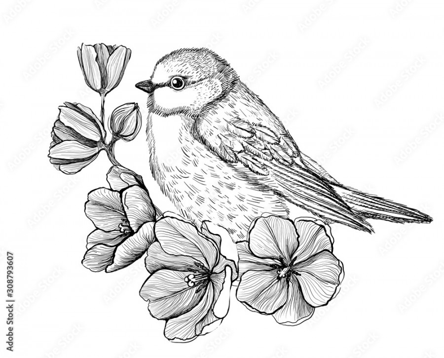 Art graphic illustration of a bird sitting on a branch with