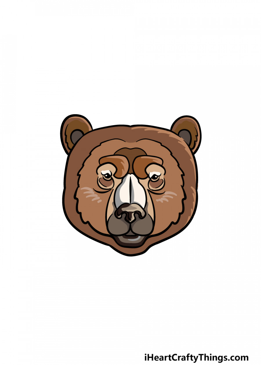 Bear Face Drawing - How To Draw A Bear Face Step By Step