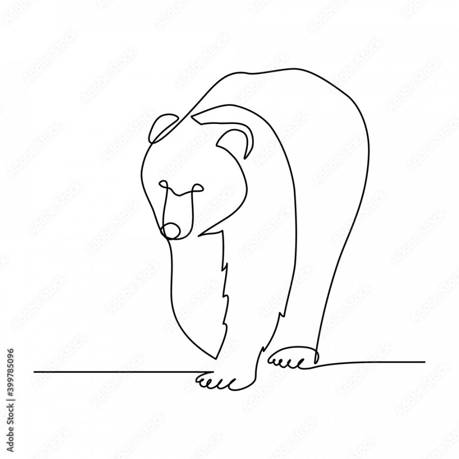 Bear in continuous line art drawing style