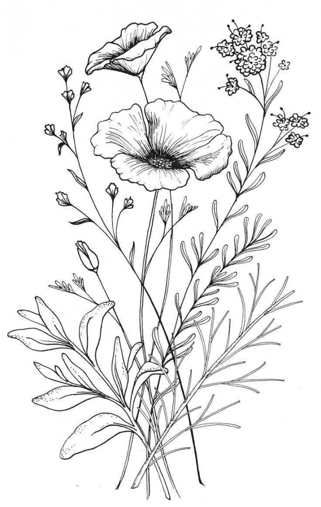 Beautiful Flower Drawing Information & Ideas - Brighter Craft