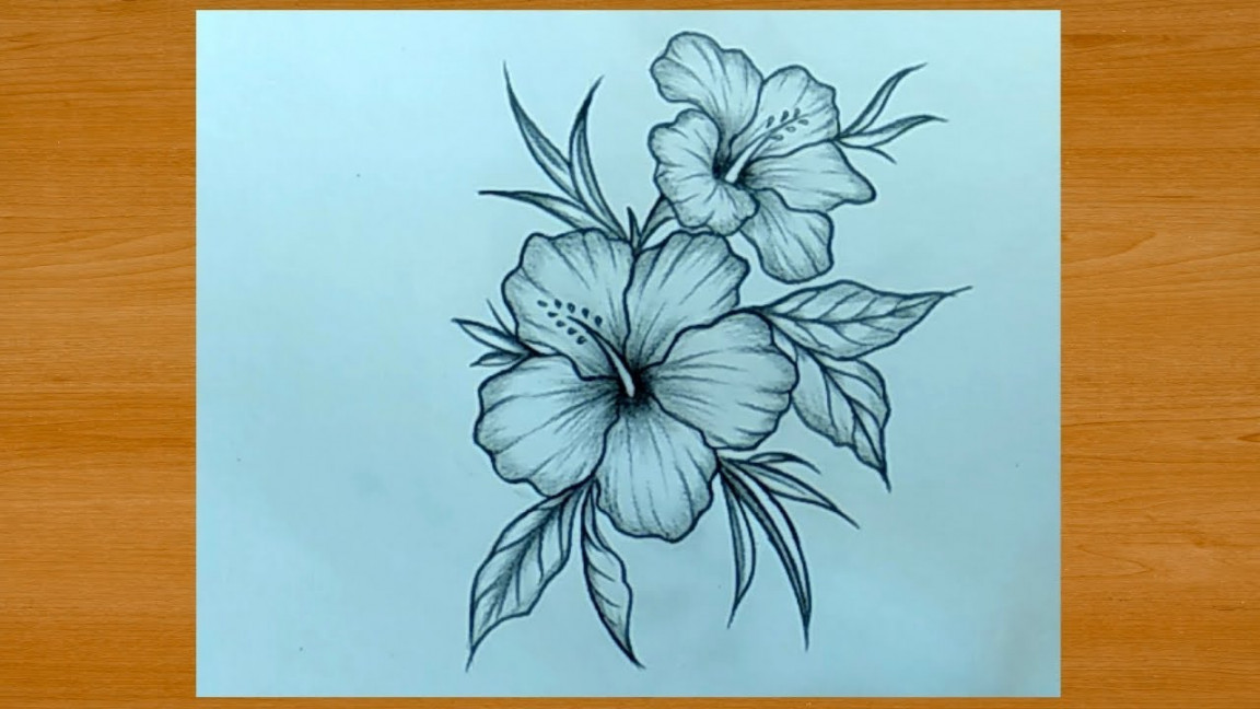 Beautiful Flower Drawing With Pencil Easy