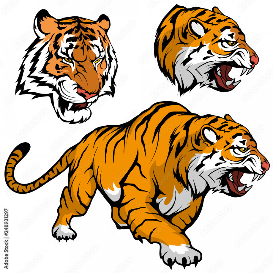 Bengal Tiger set suitable as logo for team mascot, royal tiger