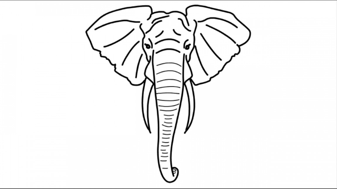 Big Elephant Head Face Draw  Drawing of Elephant  How To Draw Animals