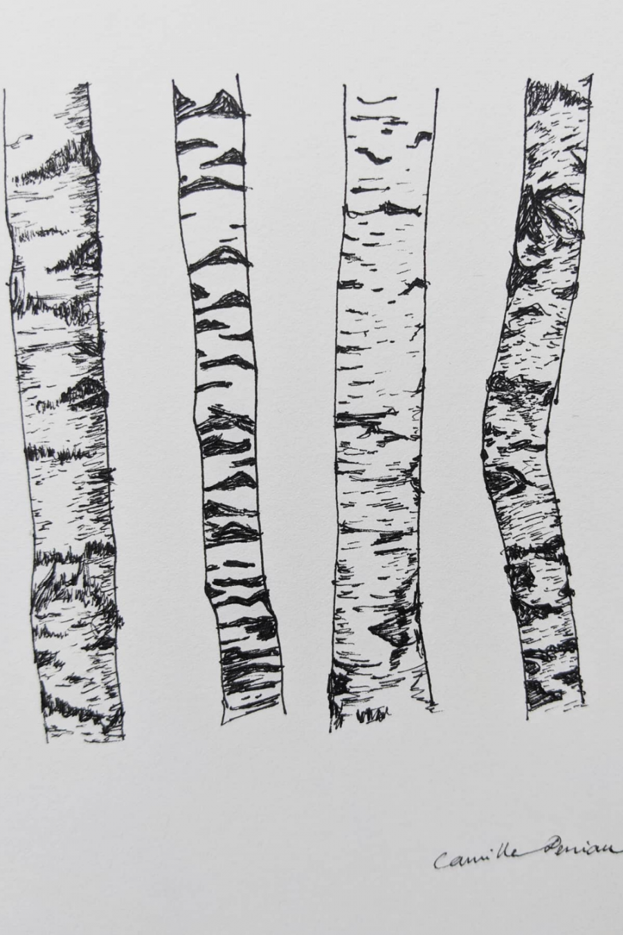 Birch tree designs drawings with black ink pen  Tree drawings