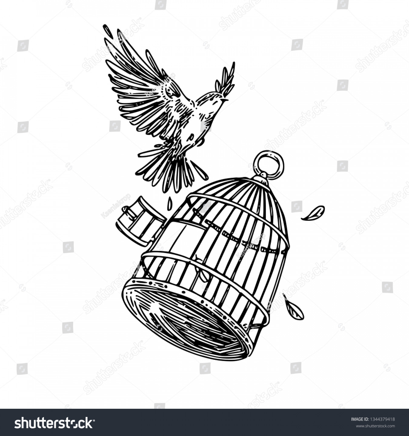 , Bird Cage Sketch Royalty-Free Images, Stock Photos