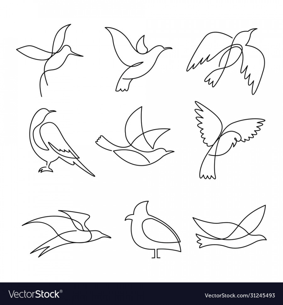 Birds continuous line drawing elements set Vector Image