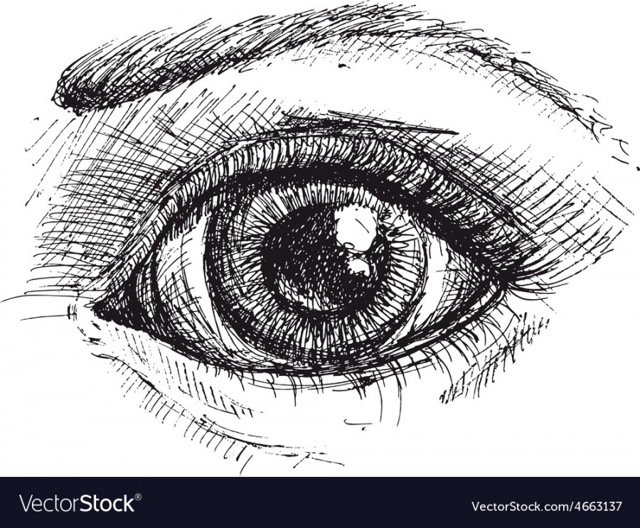 Black and white drawing of eye Royalty Free Vector Image