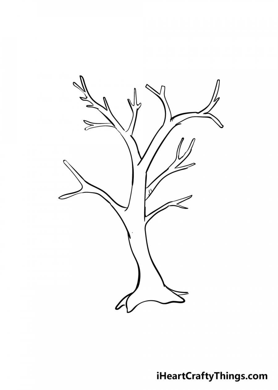 Branches Drawing - How To Draw Branches Step By Step